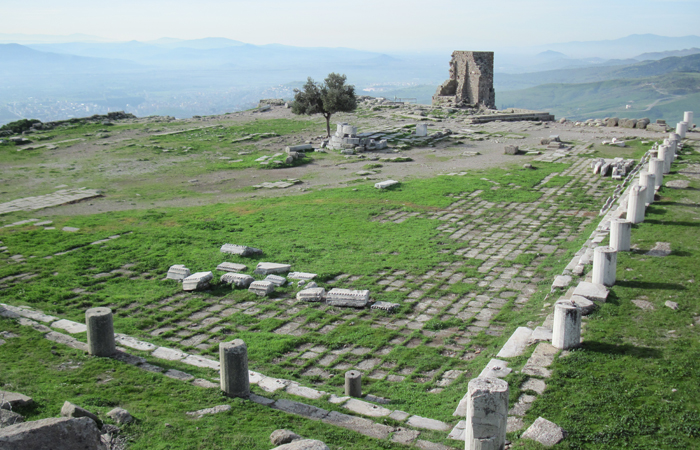 Pergamum