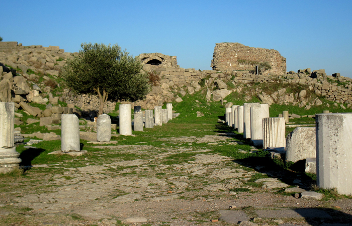 Pergamum