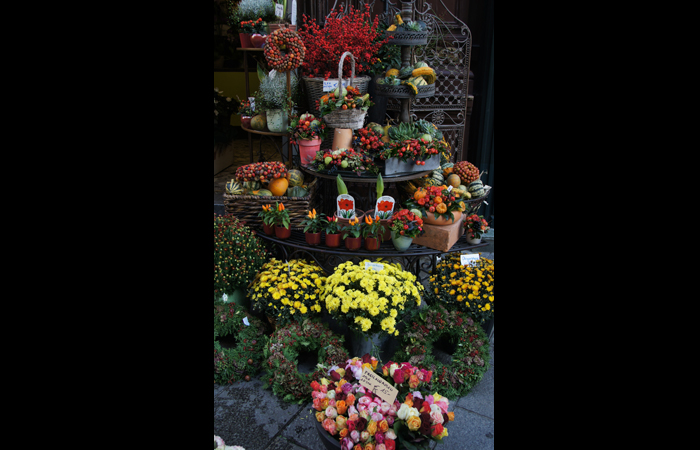 Autumn Flower Display