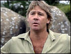 Steve Irwin, AP image