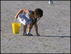little girl with yellow sand bucket picking up shells on a beach