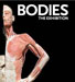 Bodies