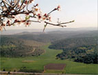 Valley of Elah