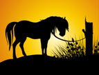 daily Devotion sunset horse tethered to tree silhouette