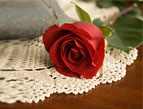 rose on a table with a doily