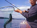 man catching a fish in a net with a fishing pole in his right hand