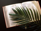 Easter Devotion palm branches
