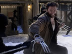 The Wolverine