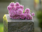 headstones at cemetery