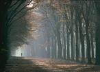 Quiet Walkway